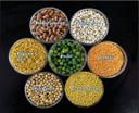 Protein Pulses